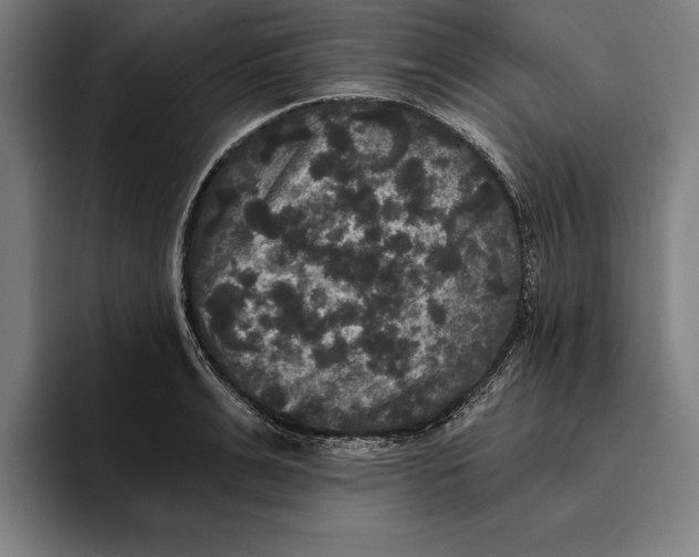 X0000094810991200712071222