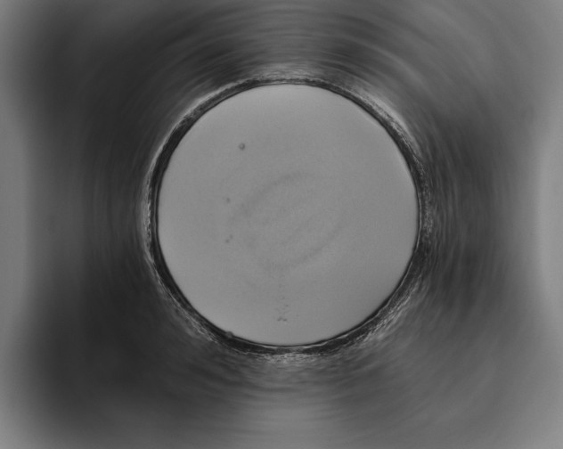 X0000094810992200712071222