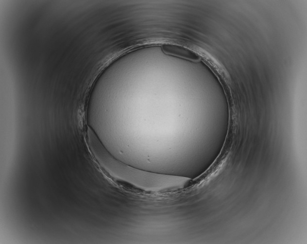 X0000094810993200712071222