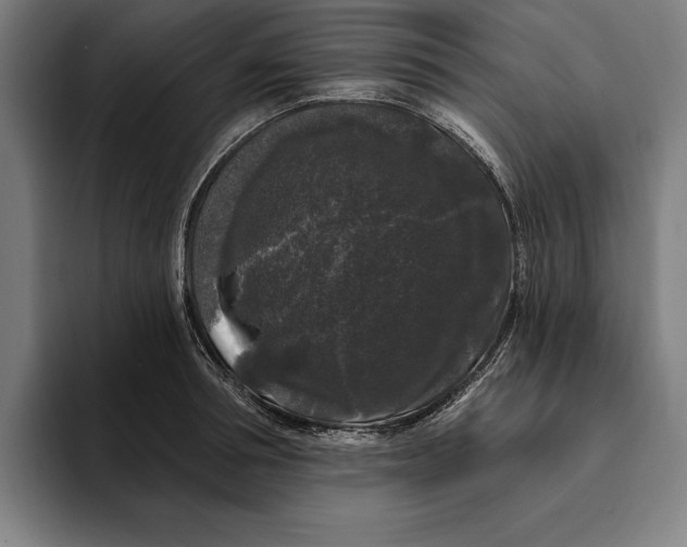 X0000094810994200712071222