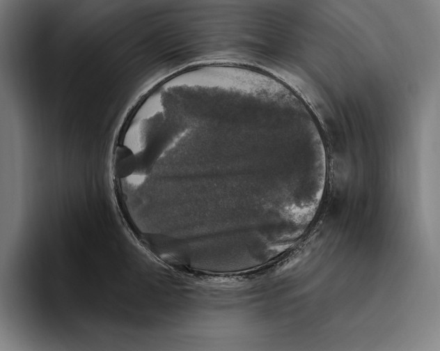 X0000094810998200712071222