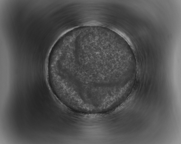 X0000094811000200712071222