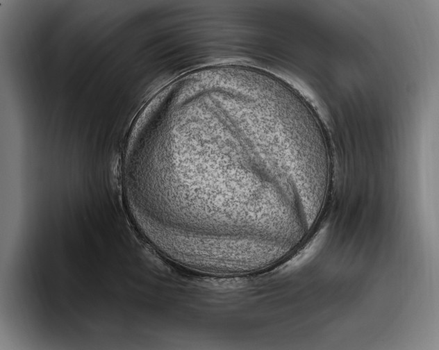 X0000094811001200712071222