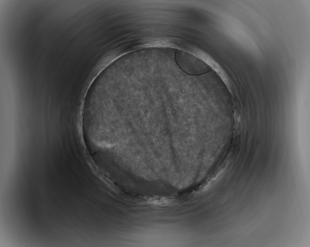 X0000094811002200712071222