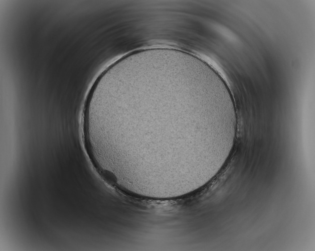 X0000094811003200712071222