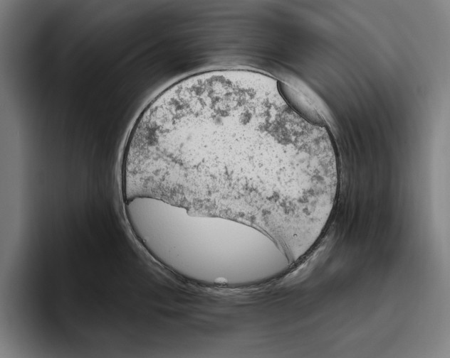 X0000094811004200712071222