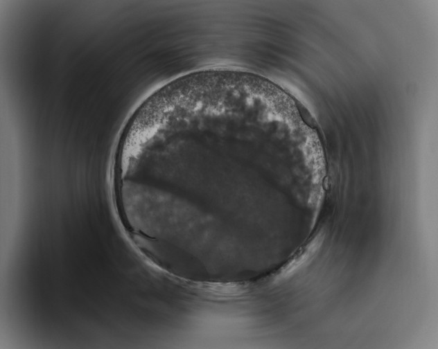 X0000094811007200712071221