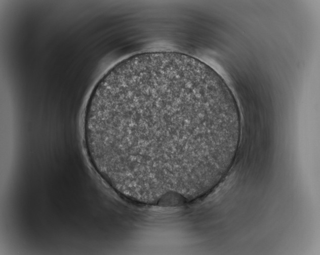 X0000094811008200712071221