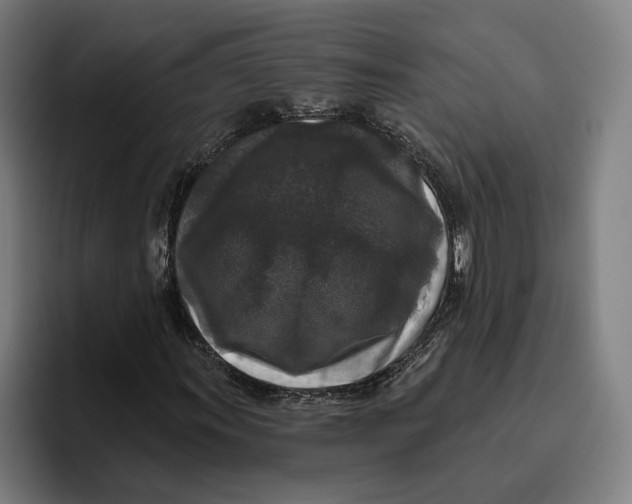 X0000094811011200712071221