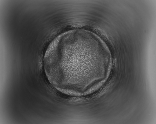 X0000094811012200712071221