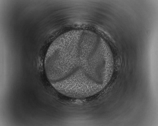 X0000094811013200712071221