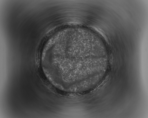 X0000094811015200712071221