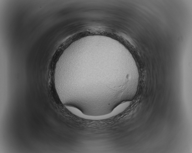 X0000094811016200712071221