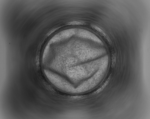 X0000094811017200712071221