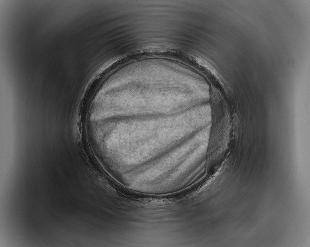 X0000094811018200712071221