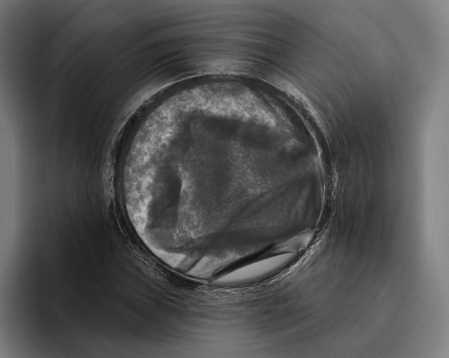 X0000094811019200712071221