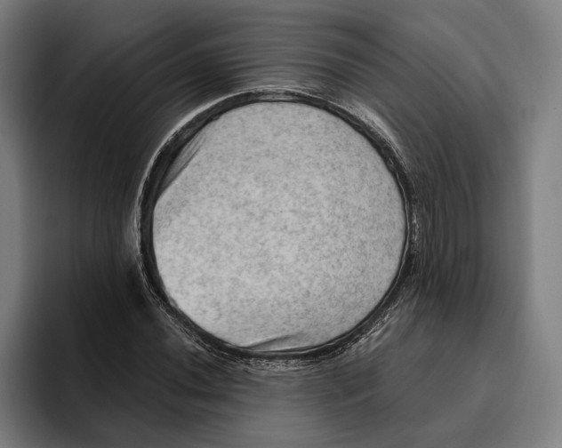 X0000094811020200712071221