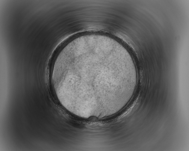 X0000094811021200712071221