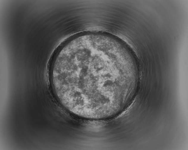 X0000094811022200712071221