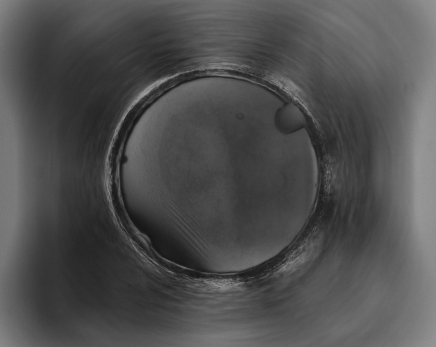 X0000094811024200712071221