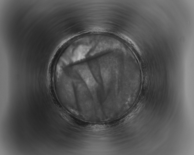 X0000094811027200712071221