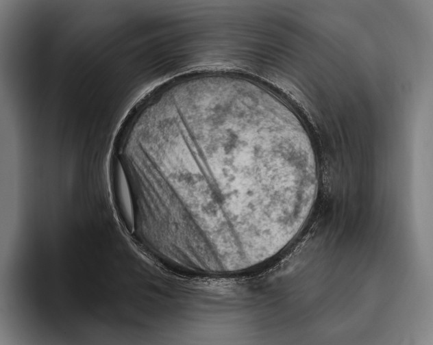 X0000094811030200712071221