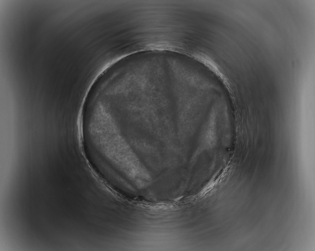 X0000094811032200712071221