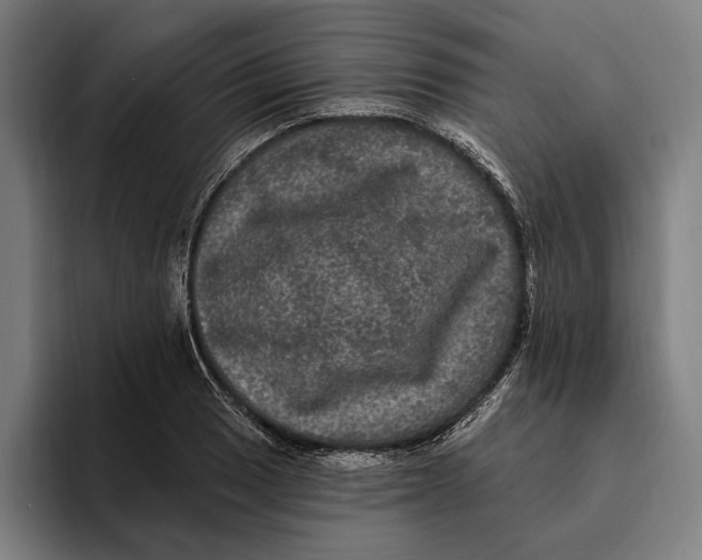 X0000094811033200712071221