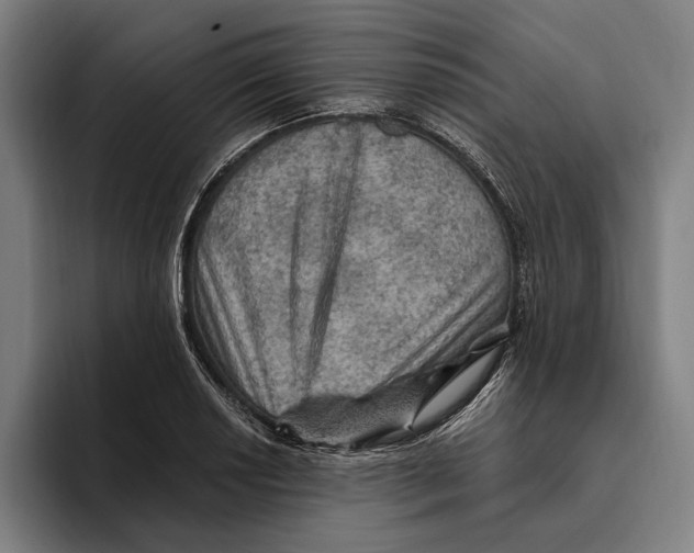 X0000094811034200712071221