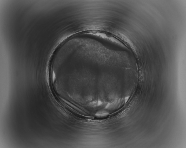 X0000094811035200712071221