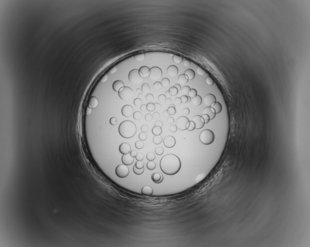 X0000094811036200712071221