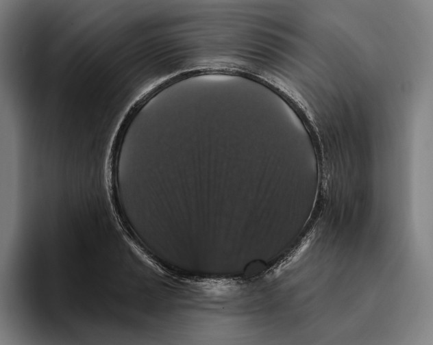 X0000094811037200712071221