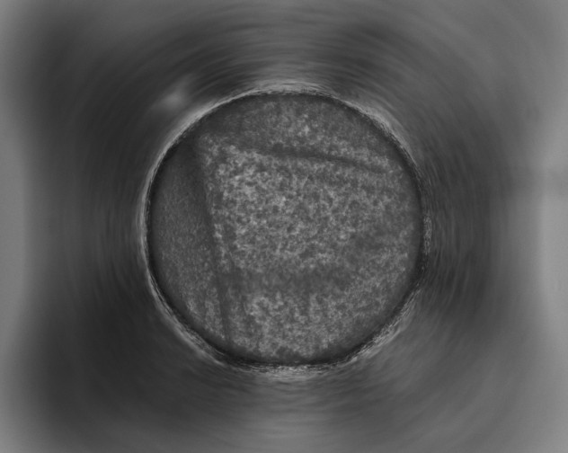 X0000094811038200712071221