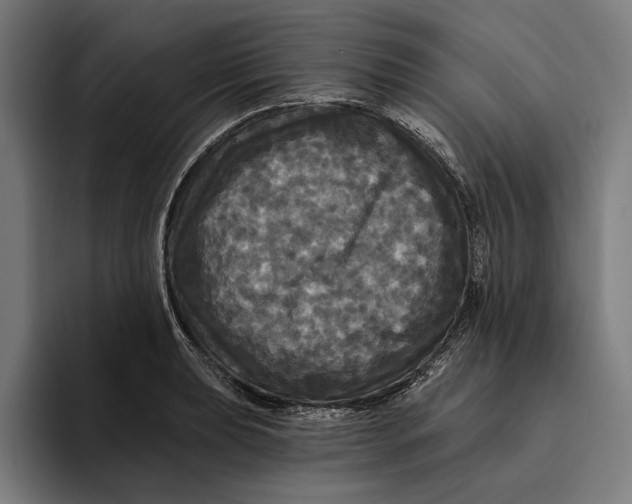 X0000094811039200712071221