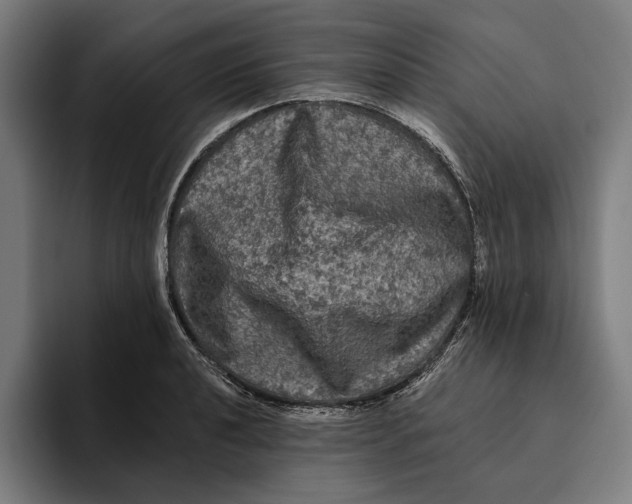 X0000094811040200712071221