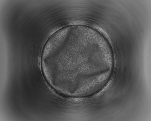 X0000094811041200712071221