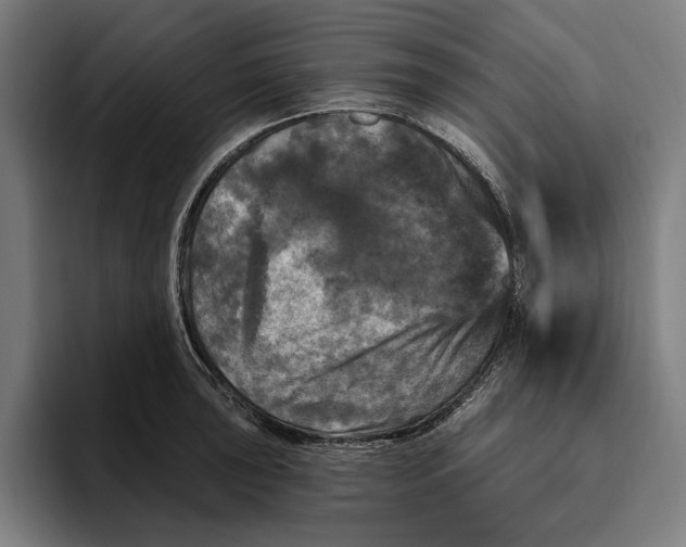 X0000094811043200712071221