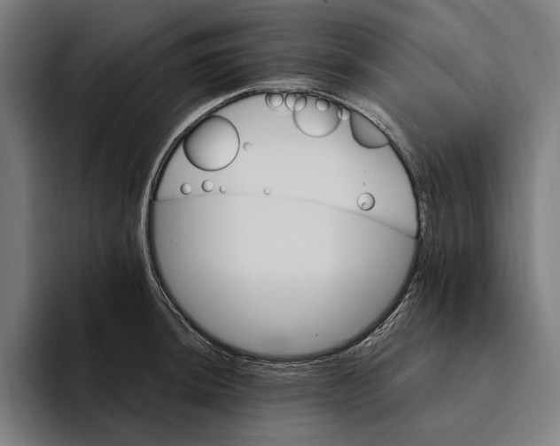 X0000094811044200712071221