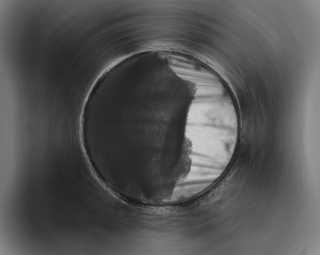 X0000094811045200712071221