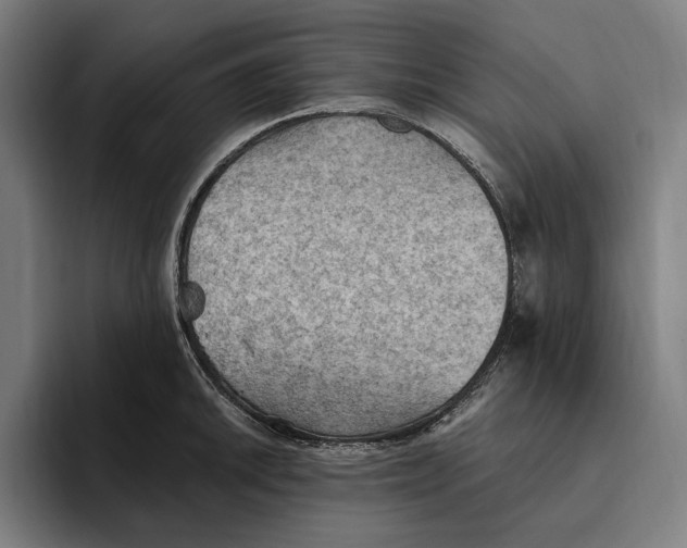 X0000094811046200712071221