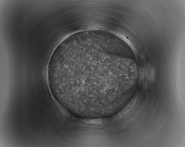 X0000094811047200712071221