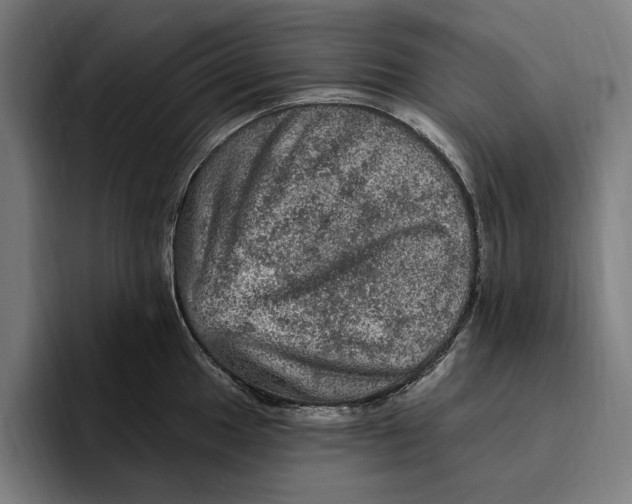 X0000094811049200712071221