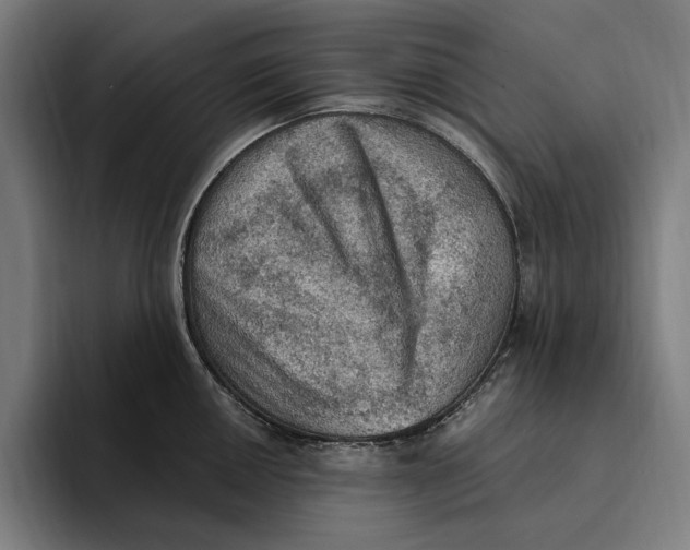 X0000094811050200712071221