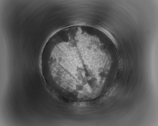 X0000094811051200712071221