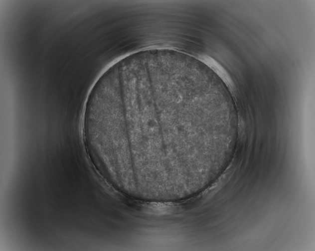 X0000094811052200712071221