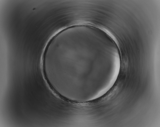 X0000094811053200712071221