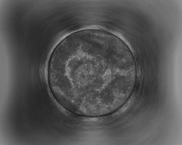 X0000094811054200712071221