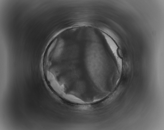 X0000094811055200712071221