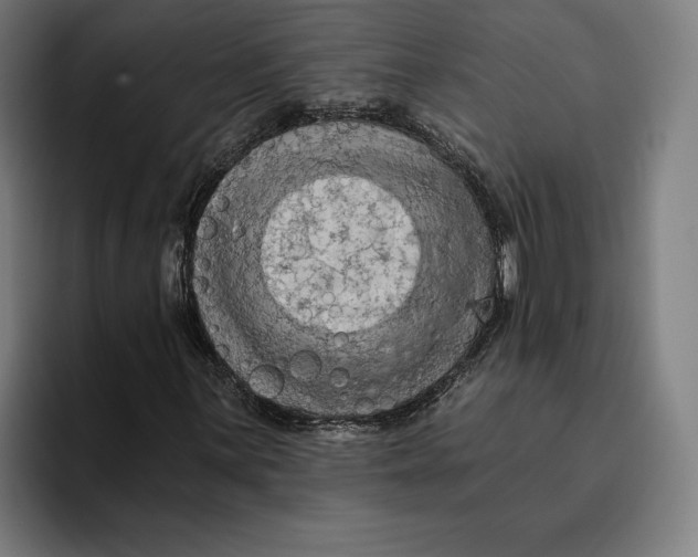 X0000094811059200712071221