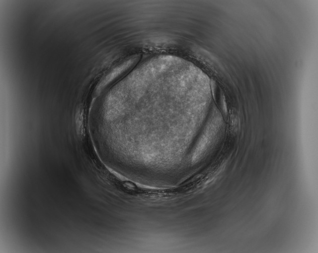 X0000094811060200712071221